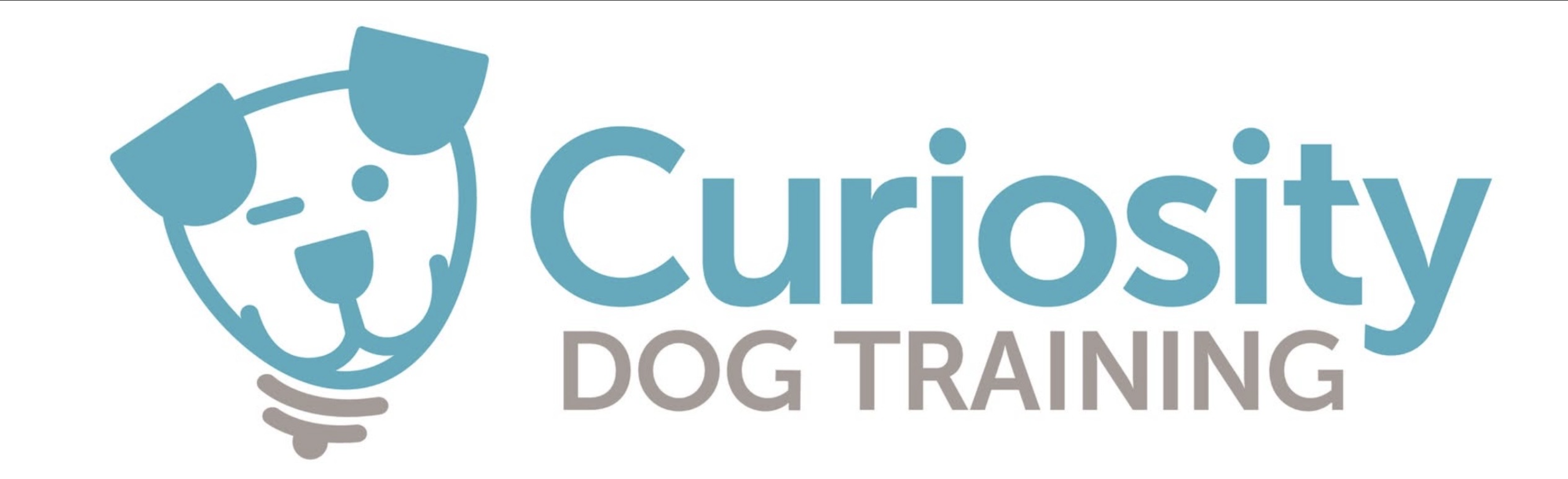 Curiosity Dog Training